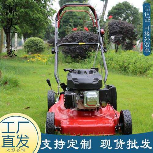 出口欧美自走手推剪草机 公园绿化四冲程割草机 带收草汽油草坪机