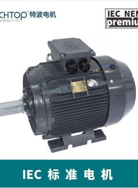 电机三相铸铁TC异步电机IE3/IE4/GB3/GB2能效75W