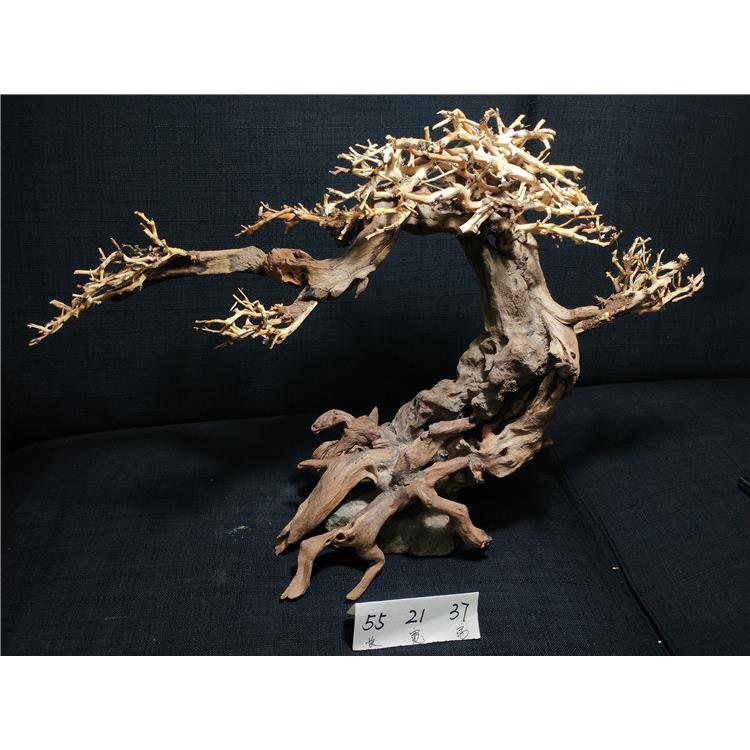 巴西树沉木莫斯树杜鹃根泰国枝水族箱造景鱼缸生命之树水草迎客松