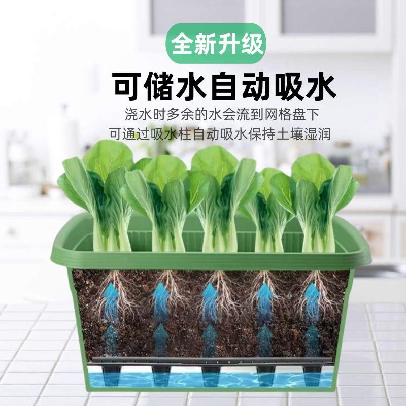 阳台种菜盆神器家庭种菜专用箱自吸水花盆懒人自动储水塑料种植箱