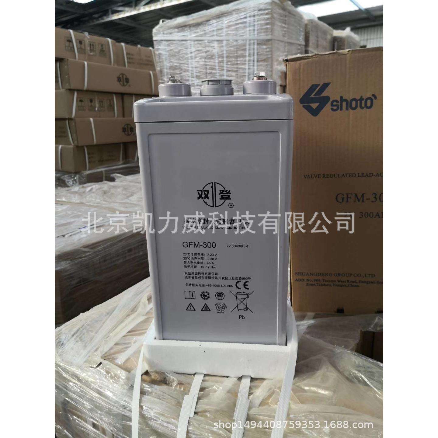 双登蓄电池GFM-600 2V600AH双登