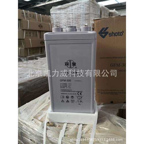 双登蓄电池GFM-600 2V600AH双登