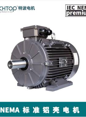 特波出口铝壳电机YE4/IE4二级能效欧盟CE/UL/EAC认证TA801-4P