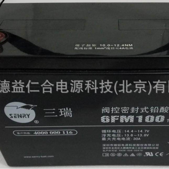 三瑞蓄电池6FM100 12v100AH铅酸蓄电池
