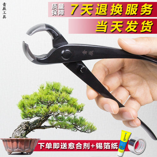 青辰不锈钢球节剪盆景造型专用修枝工具专业级修剪套装斜口破杆钳