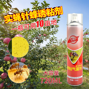 瓜果实蝇针蜂诱粘剂昆虫诱捕剂杀果蝇药粘胶诱黏引诱剂果蝇诱捕器