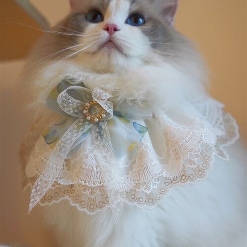 新品包邮宠物猫咪蕾丝口水巾柯基金毛阿拉狗狗围脖领结生日饰品