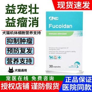 美国益宠壮益瘤消利瘤宠物猫狗乳腺肛肿癌瘤三黄双丁癌肿平消结瘤