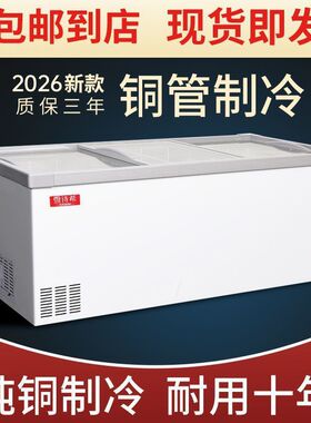 超市冰柜商用冷链大容量欧式深体岛柜卧式冰箱冷冻保鲜展示雪糕柜