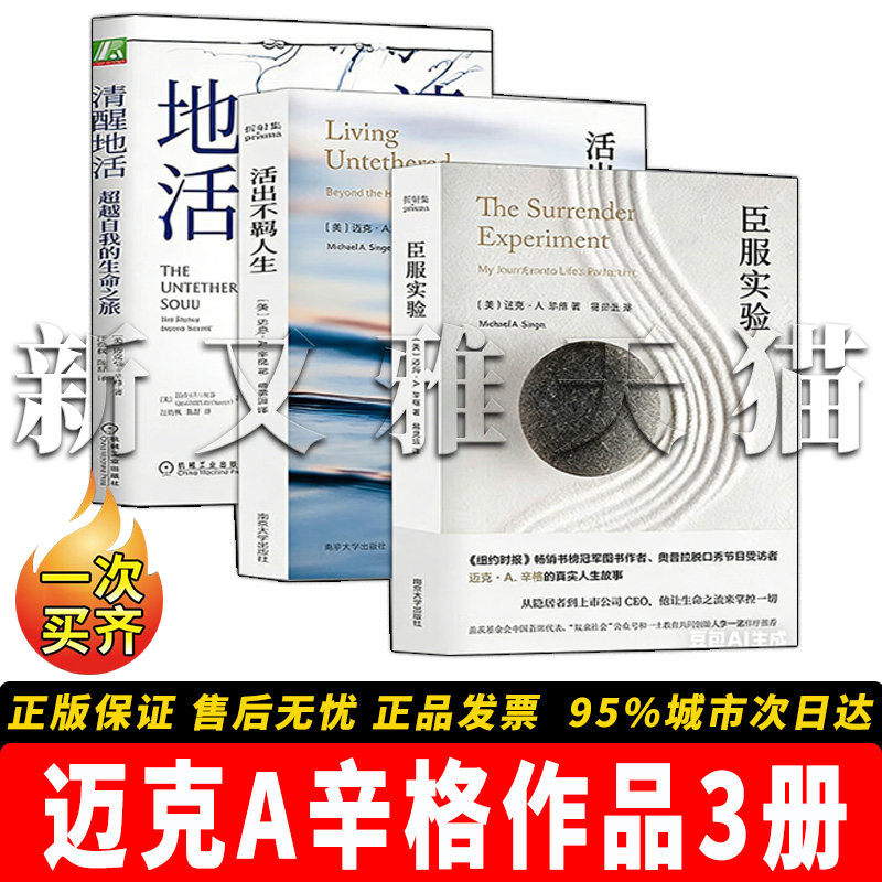 迈克A辛格3册心灵成长自我觉醒