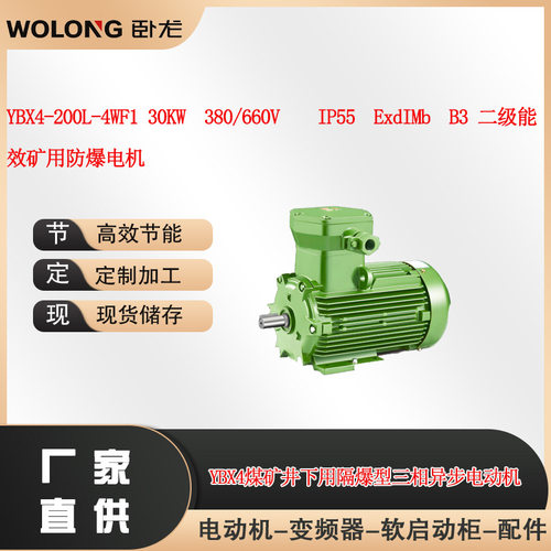 YBX4-200L-4WF1 30KW  380/660V ExdIMb二级能效矿用防爆电机