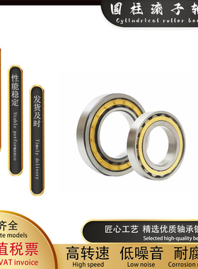 圆柱滚子轴承NJ2313 2314 2315 2316 2317 2318 2319 2320 2322EM