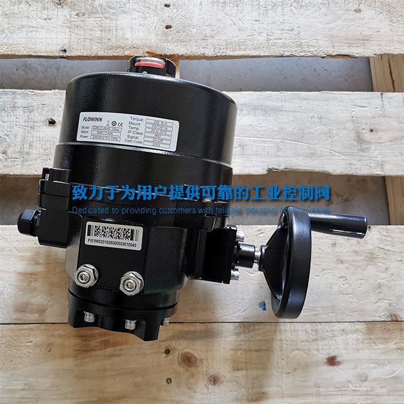FLOWINN电动阀门执行器 EOM3-O-dB-K2 型号