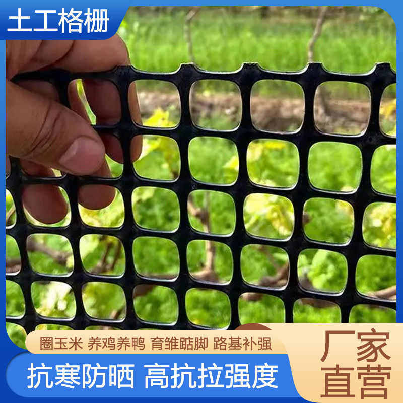 加厚塑料围栏网黑色果园圈地围栏网养鸡鸭鹅养殖网玉米网塑料网格