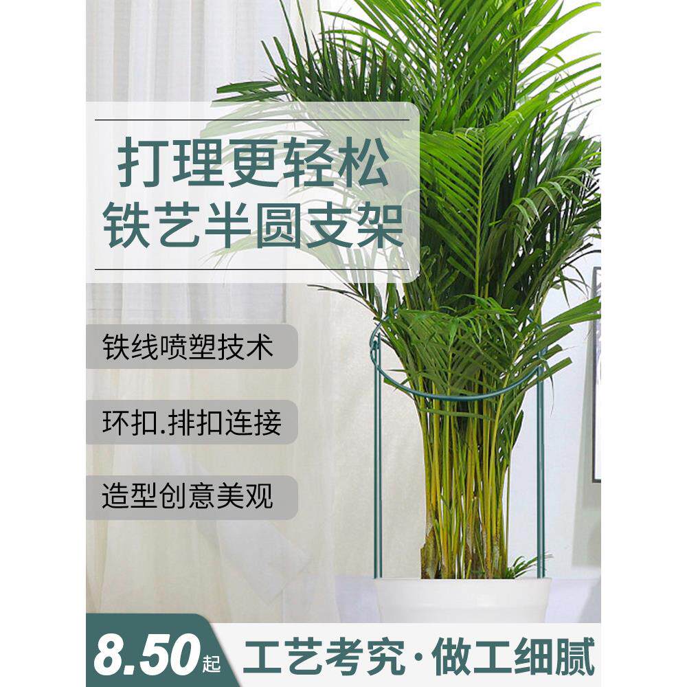 铁花架植物支架半圆形蟹爪兰花绣球玫瑰绿色植物攀缘植物花架固定