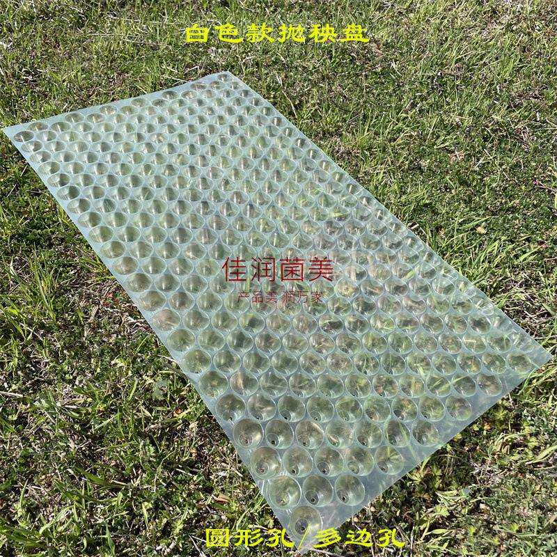 塑料育苗盘353穴盘手抛秧盘水稻盘人工蓝色爆款优质秧苗托盘