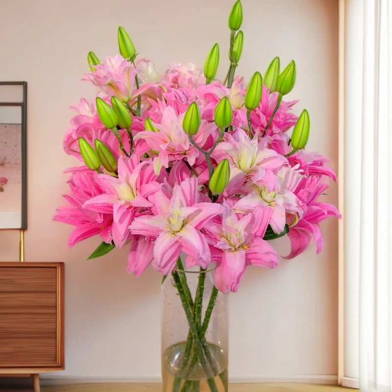 百合鲜花正宗重瓣香水百合花卉多头水培水养插花云南直发新鲜切花