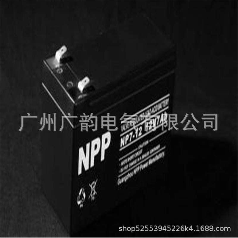 耐普铅酸蓄电池NP12V-20AH NPP蓄电池12v20ah/10hr