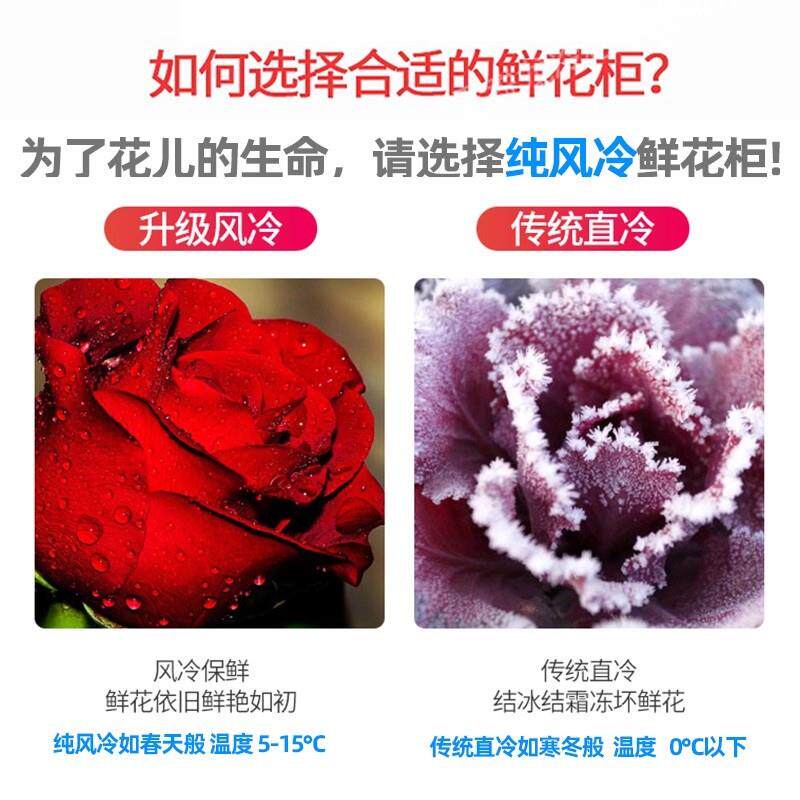 鲜花保鲜柜花店专用风冷无霜全面屏展示柜商用双门三门冷藏柜
