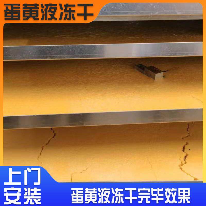 商用鸡蛋粉鸡蛋液专用冻干机食品级低温脱水设备厂家直供支持量产