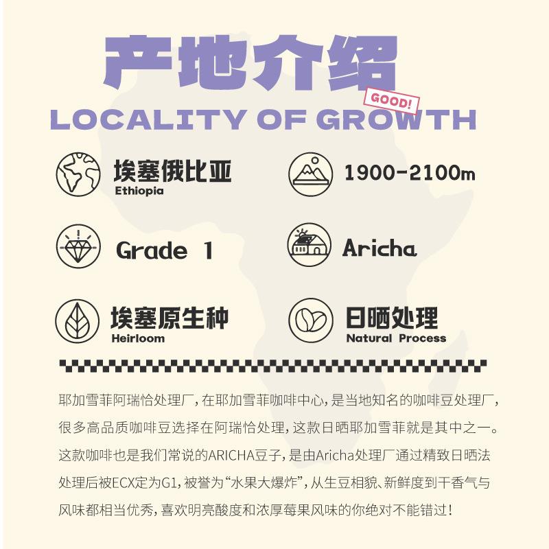 咖臣果香大爆炸 耶加雪菲阿瑞恰G1日晒浅中烘焙精品手冲咖啡豆150