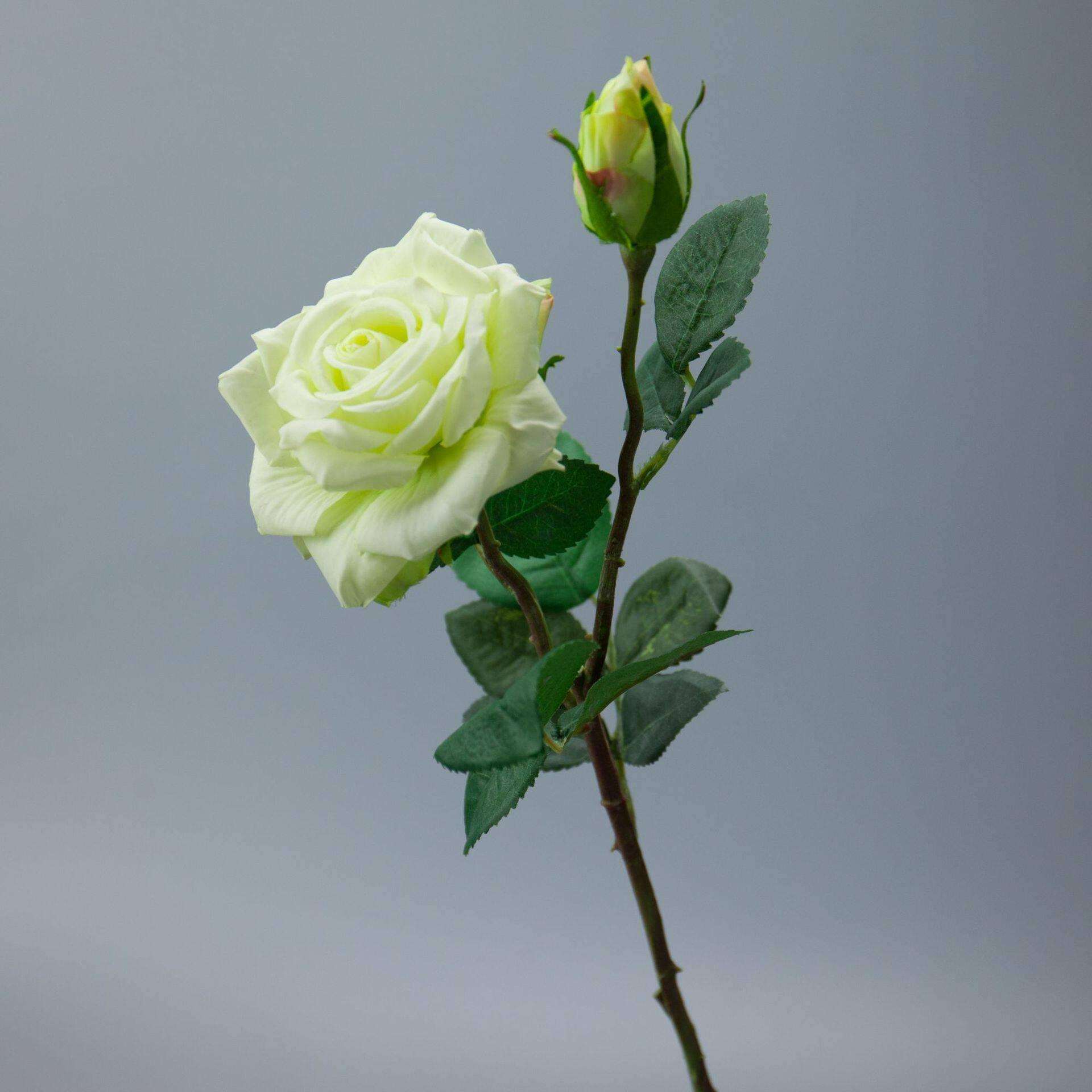 6支装 奥斯丁保湿玫瑰花仿真假花束欧式装饰绢花客厅餐桌摆放婚庆