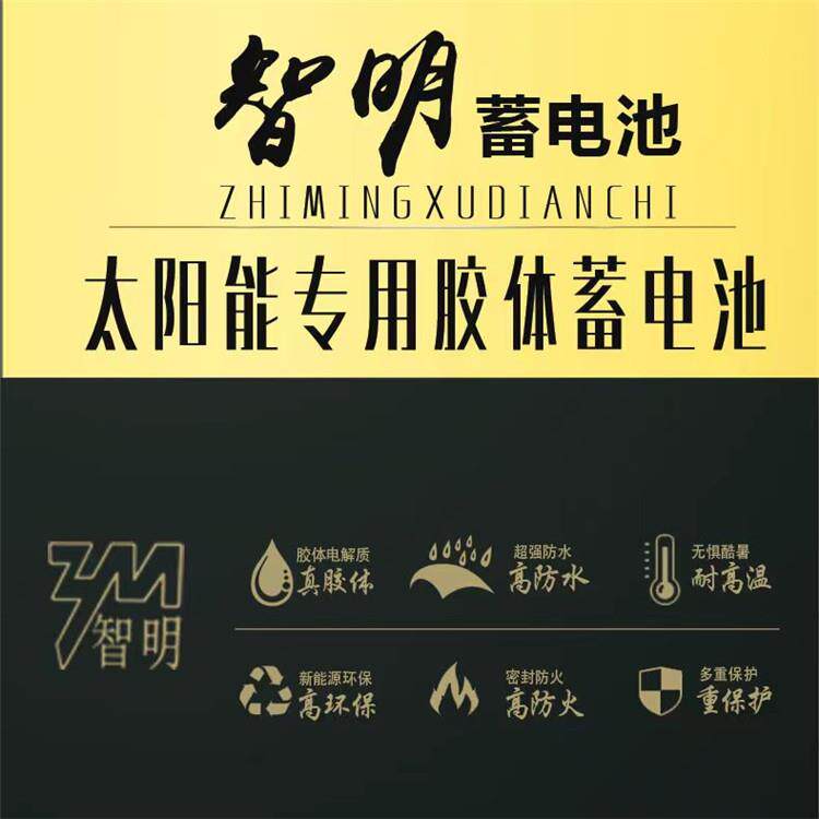 太阳能胶体蓄电池12v100ah长寿命12v200A光伏监控路灯免维护铅酸