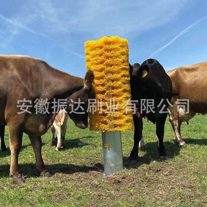 厂家立柱式无动力牛体刷按摩痒痒牧场奶牛农场牛羊蹭止痒毛刷