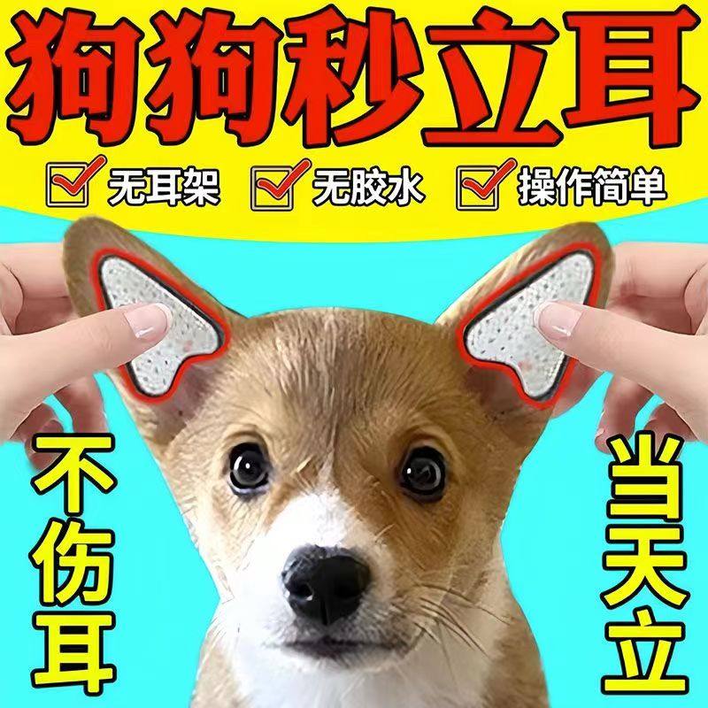 狗狗立耳朵神器雪纳瑞德牧羊犬杜宾边牧黑狼柯基专用立耳贴辅助器