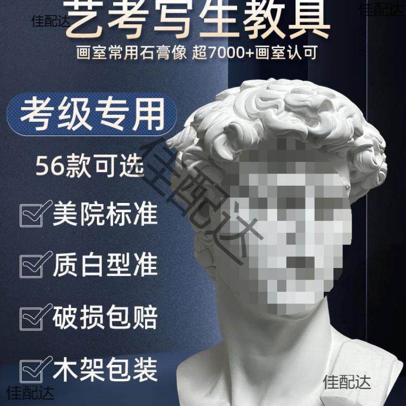 石膏像大卫石膏像摆件美术教具维纳斯小卫海盗欧美装饰品塑摆件