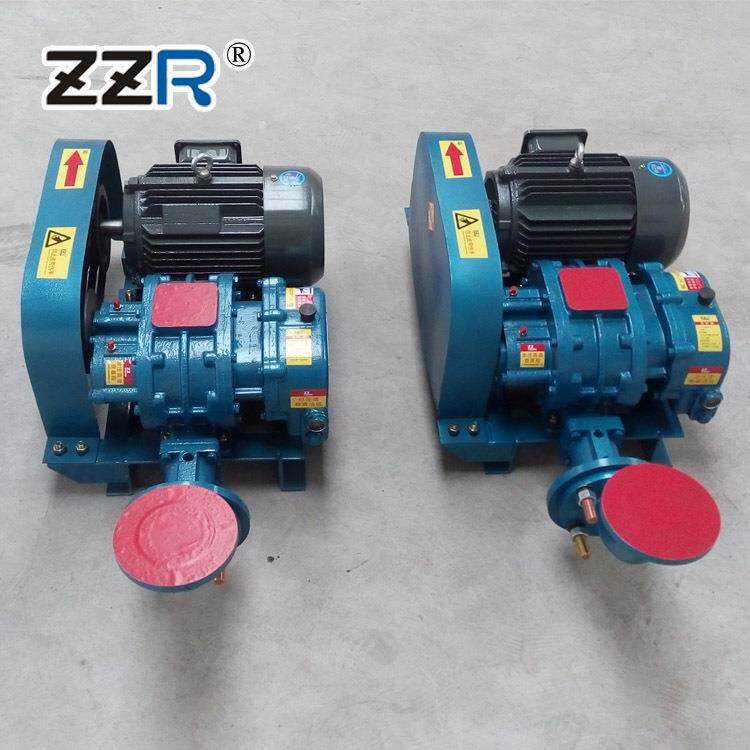ZZR50型2.2kw 价格专业生产罗茨鼓风机 供应水产养殖污水处理SS