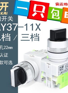 上海廿开LAY37 Y090-11X2 Y090-20X3 二位旋钮/三位旋钮按钮开关