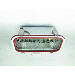 船用不锈钢投光灯TG69A/TG67A-C500/C1000照明探照灯TG70AN400W