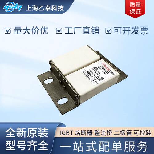 巴斯曼熔断器 170M1832 170M1833 170M1842 170M1843 170M1844