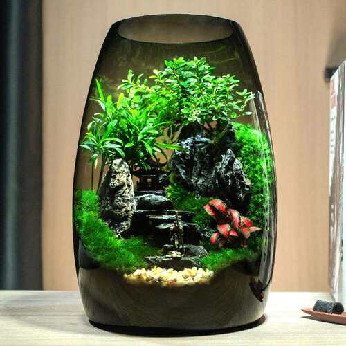 杜鹃亭苔藓微景观生态瓶造景植物雨林创意摆件桌面森林玻璃生态缸