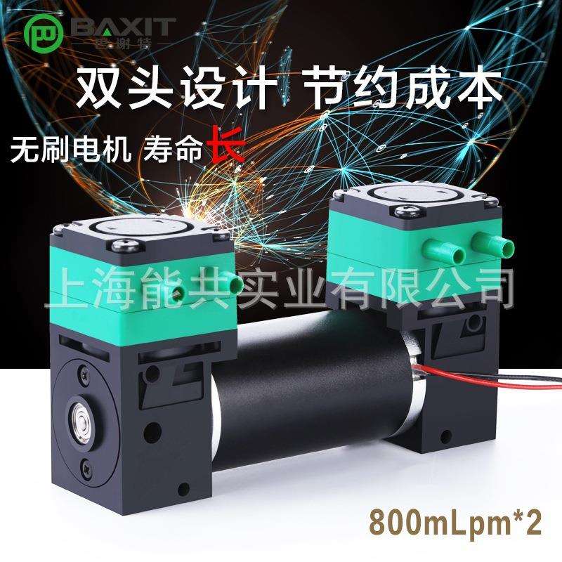 双头隔膜液泵抽水泵小型耐腐蚀微型真空采样泵无油自吸泵L08BL-2