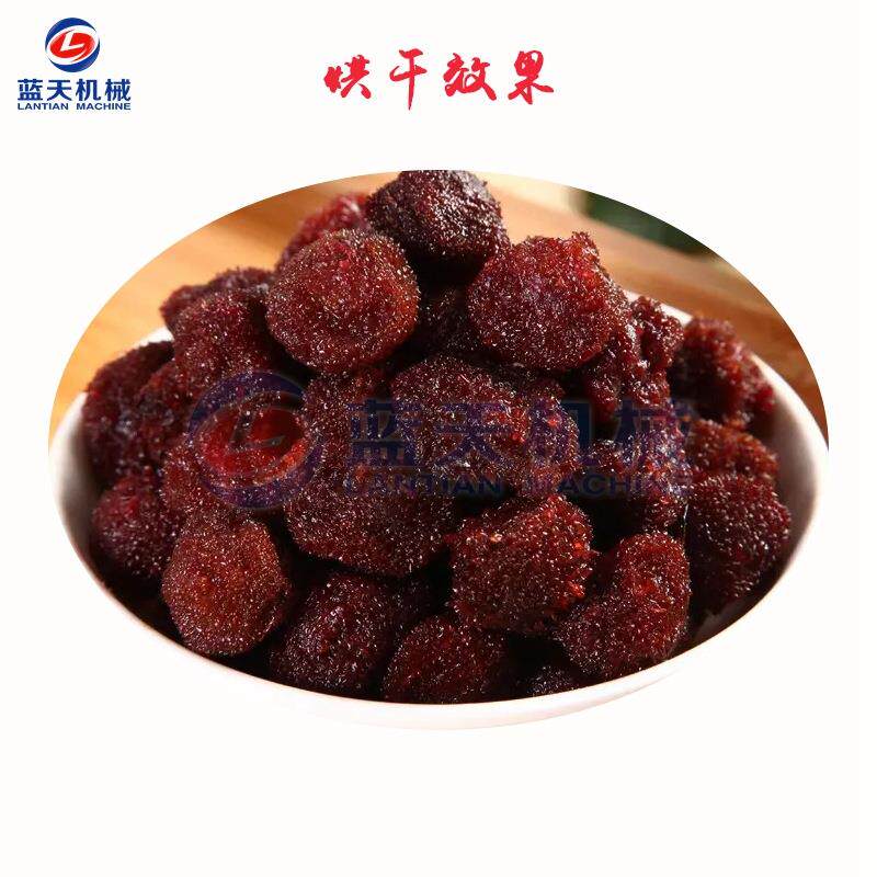 蓝天杨梅烘干机 智能控温杨梅干杨梅果烘干箱 小型树梅烘干机设备