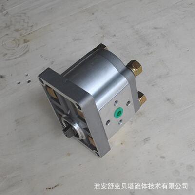CBN-E310-FER系列齿轮泵油泵