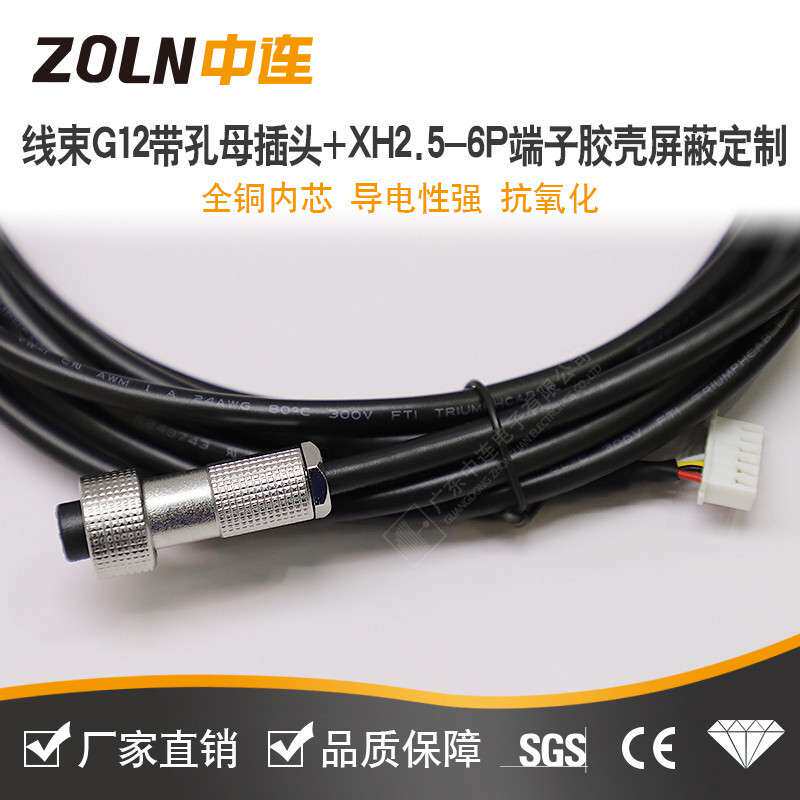 线束G12带孔母插头尾端带XH2.5-6P端子胶壳屏蔽款 多米可咨询