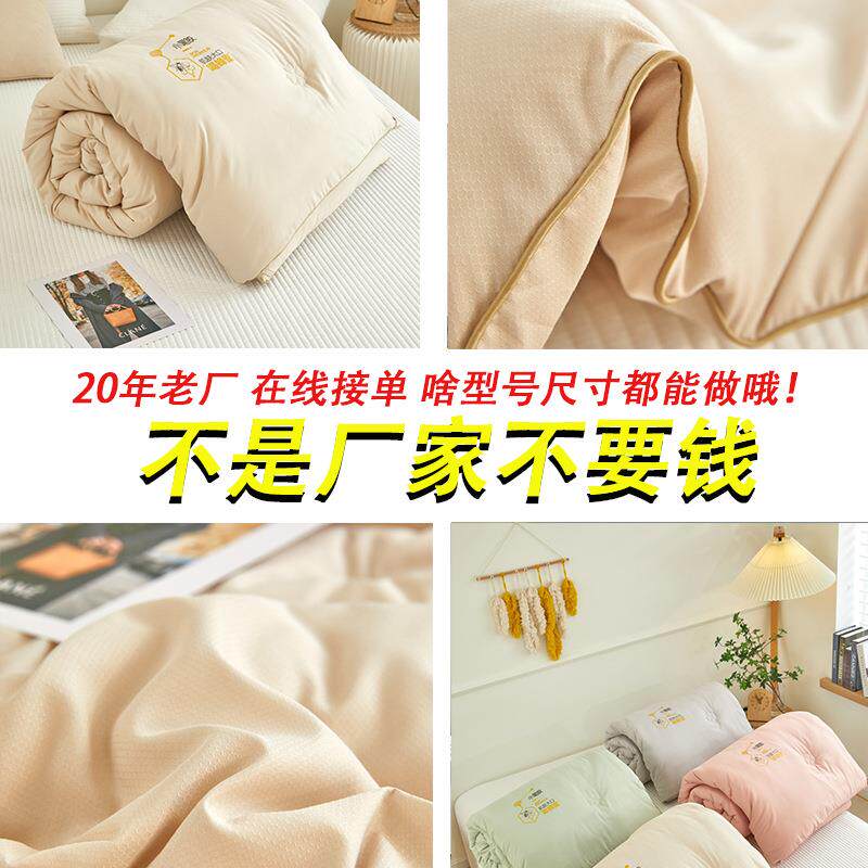 冬季新款亲肤柔软舒适睡眠被子加厚加绒被芯学生宿舍天然蜂胶冬被