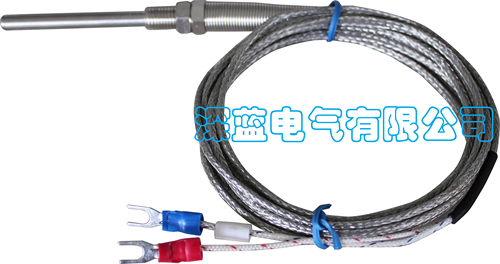 测温探头 K型 针形铠装热电偶 WRNK-191 探头长可选50 100 200mm