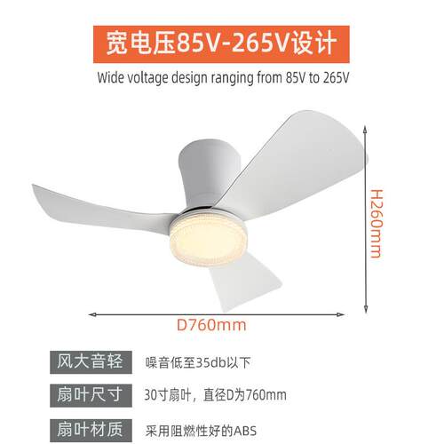 工厂直销大扇叶RGB北欧风格餐厅风扇灯2.4G智能中山灯具风扇灯