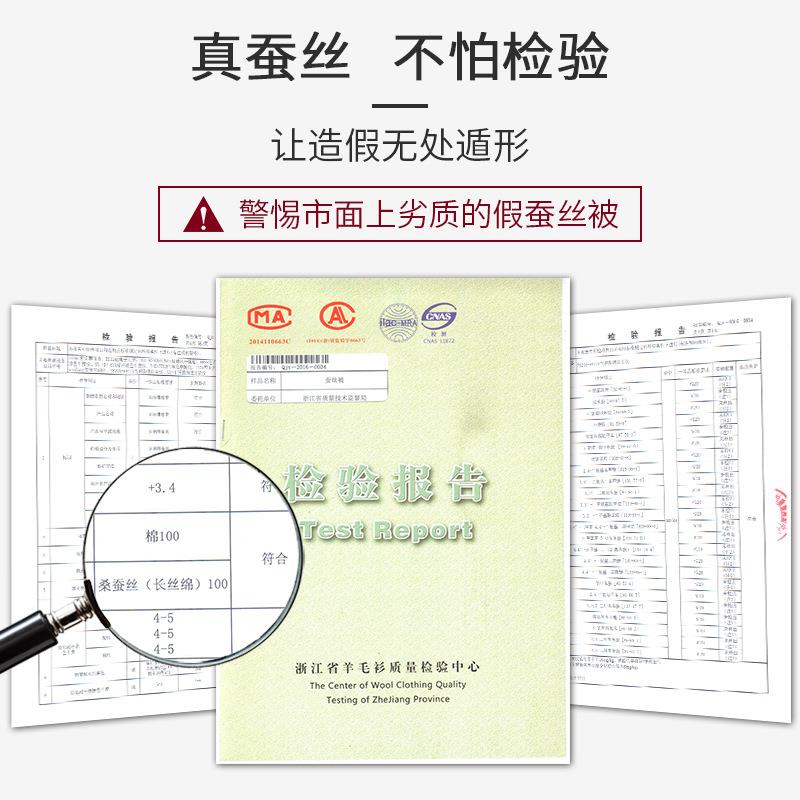 HS金标桑蚕双宫蚕丝被芯春秋夏凉被子纯蚕丝蚕丝被茧四季通用