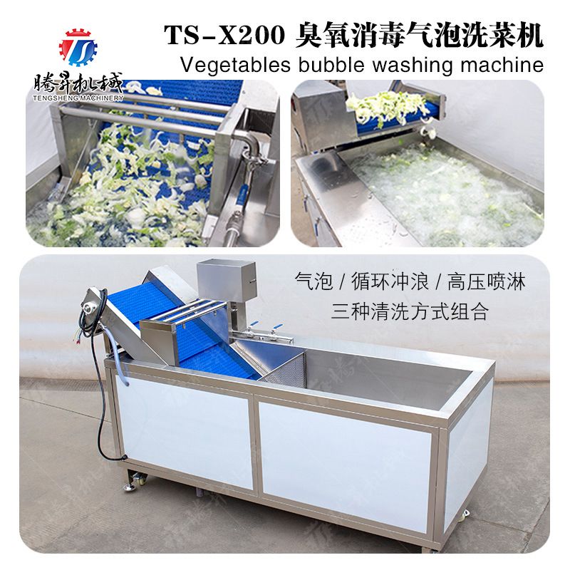 源头厂家商用 臭氧洗菜机 果蔬清洗机 腾昇机械 全自动洗菜机