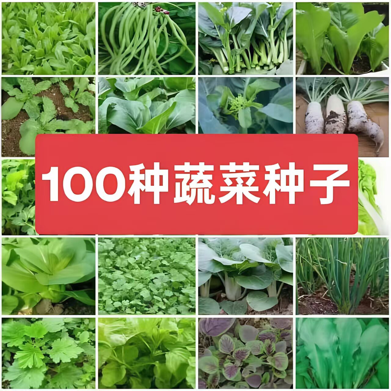 蔬菜种子四季播种青菜瓜果夏秋蔬菜种籽大全2元包邮小商品88vip