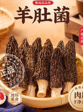 四川金堂羊肚菌2026头茬新货特产干货无硫熏产地直发煲汤火锅食材