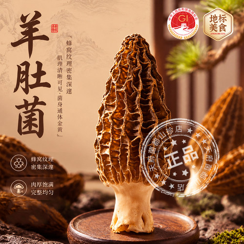 金堂羊肚菌国家地理标志农产品