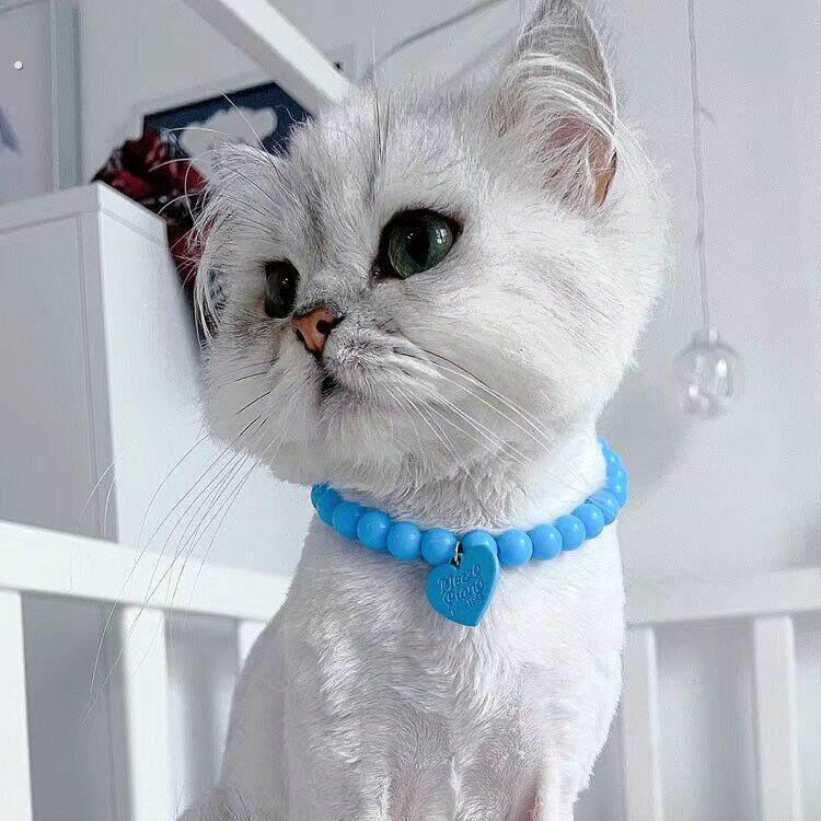 狗狗项链,小猫项链,项链网红不掉色猫咪项链可爱脖圈狗狗佩戴饰品