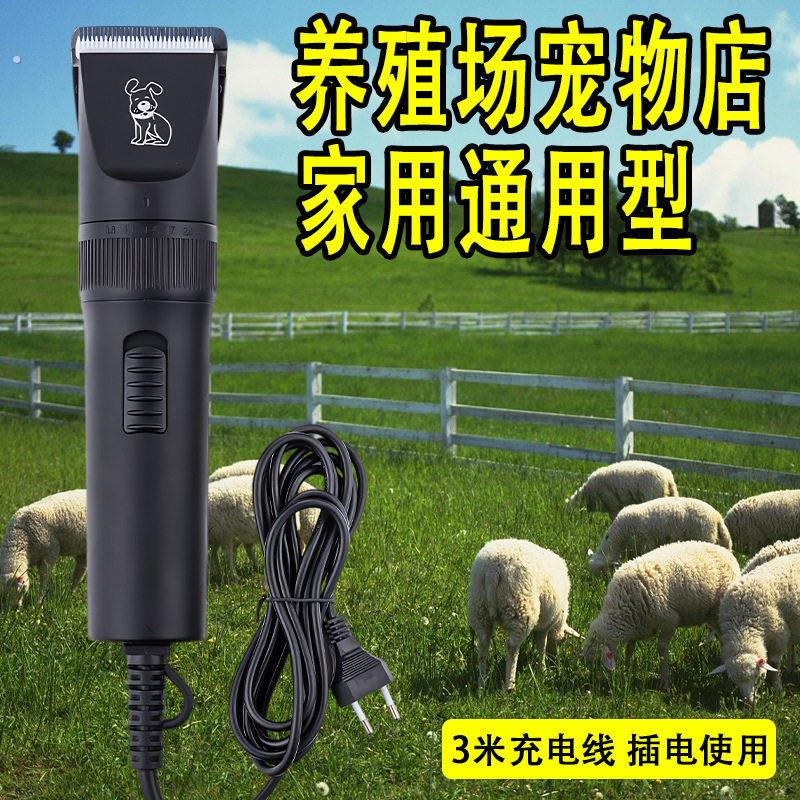 羊毛电推剪大型犬羊毛剪大狗插电宠物剃毛器专业剃狗毛大功率专用