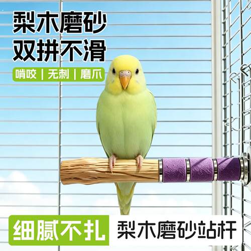 鹦鹉磨爪站杆耐啃耐咬虎皮玄凤牡丹小太阳梨木啃咬休憩站台鸟站棍